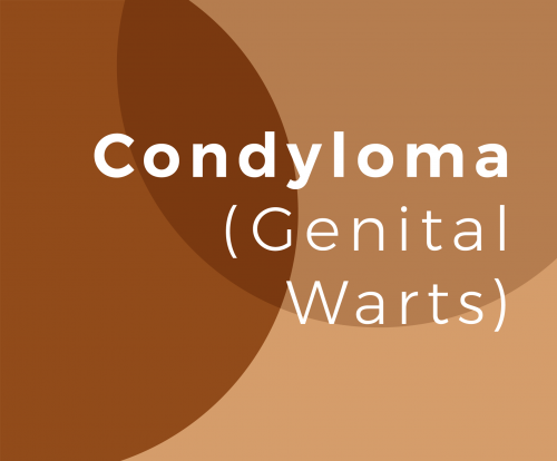 Condyloma (Genital Warts)